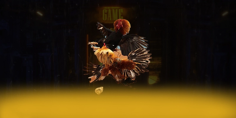 
Khám phá ngay LC88 - Cổng game bài phổ biến nhất mới nhất hiện nay
