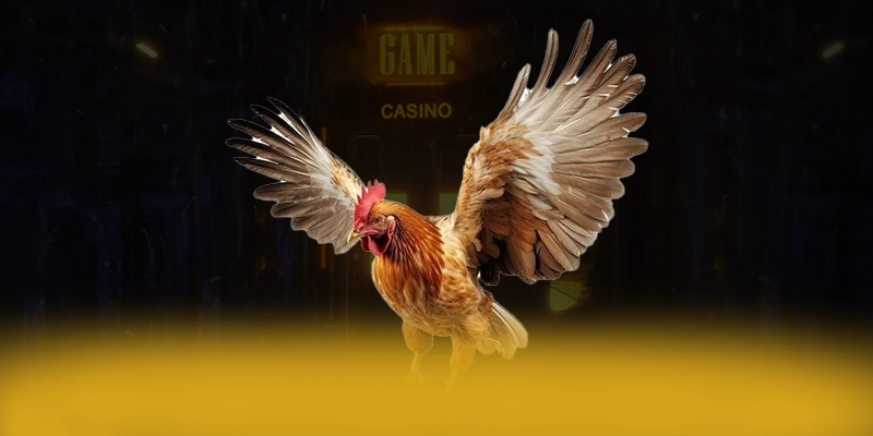 ĐÁ GÀ TRỰC TIẾP – Sân chơi có thưởng lớn, khẳng định vị thế hàng đầu tại Việt Nam. ĐÁ GÀ TRỰC TIẾP – Sân chơi có thưởng lớn, khẳng định vị thế hàng đầu tại Việt Nam.