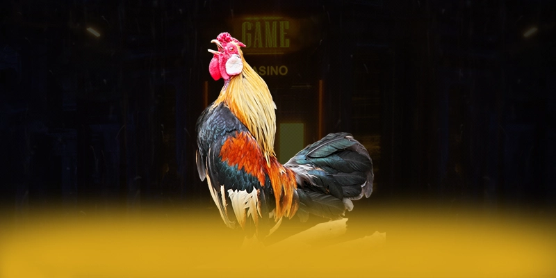 N88 – Nhà cái được yêu thích nhất, khẳng định vị thế hàng đầu tại Việt Nam.