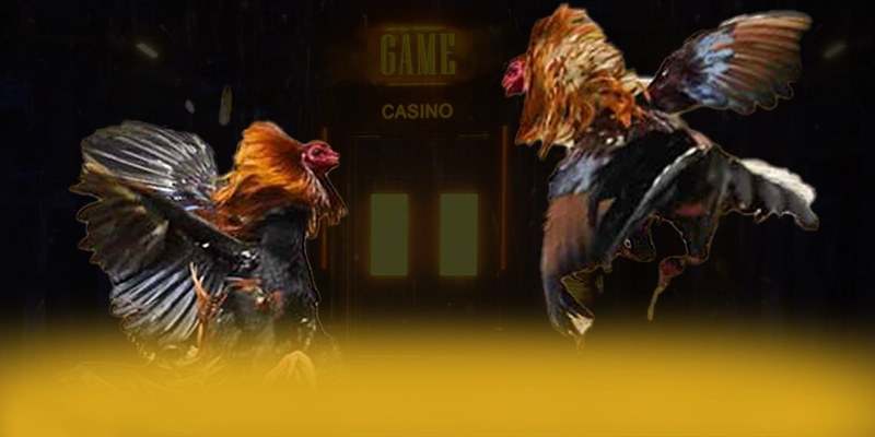 VWIN - Nhìn lại toàn bộ ưu điểm một cách chi tiết.