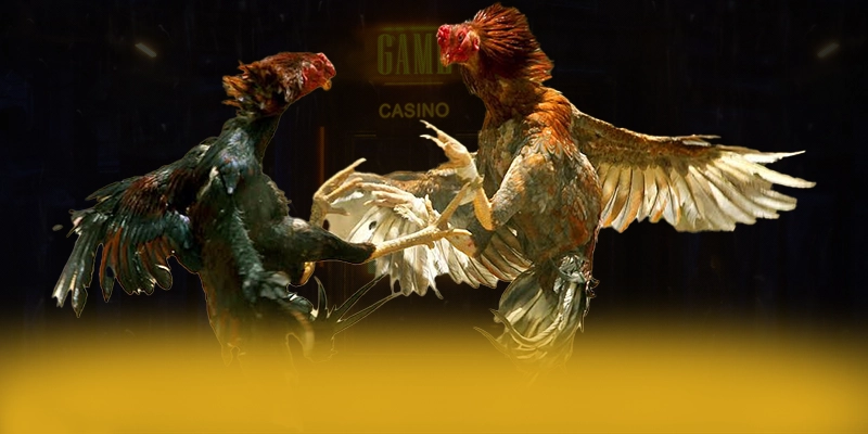 LC88 – Thương hiệu được yêu thích nhất, được giới cược thủ đánh giá cao.