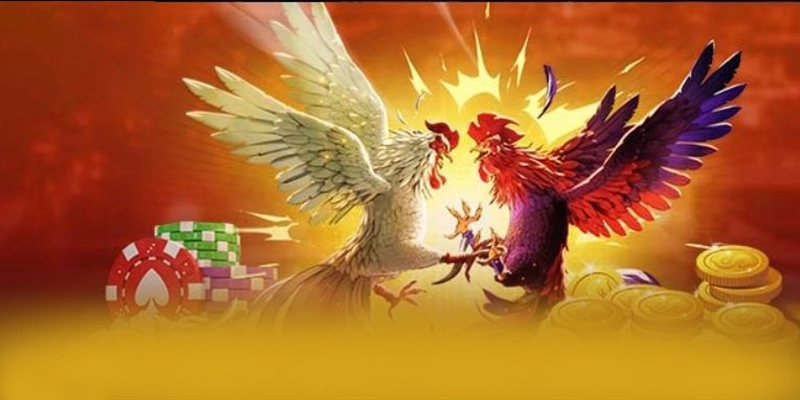 SA88 - Cổng giải trí được đánh giá cao về độ tin cậy được cộng đồng game thủ công nhận – Khám phá sự an toàn và minh bạch tại SA88