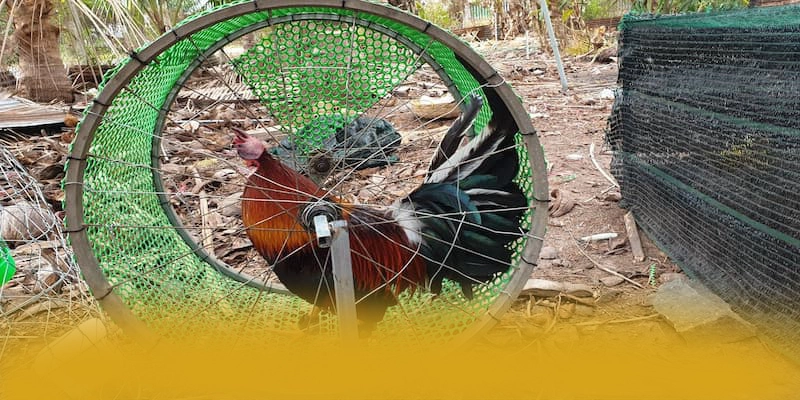 tỷ lệ kèo bóng đá – Thương hiệu hàng đầu Việt Nam, được cộng đồng game thủ tin tưởng. tỷ lệ kèo bóng đá – Thương hiệu hàng đầu Việt Nam, được cộng đồng game thủ tin tưởng.