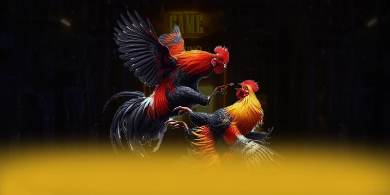 NK88 - Trang game ổn định trong giới game thủ