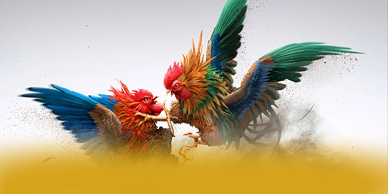 UU88 - Cổng trò chơi ổn định số 1 Việt Nam