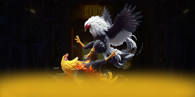 RR99 - Nhà cái an toàn được cộng đồng game thủ công nhận – Trải nghiệm RR99 RR99 - Nhà cái an toàn được cộng đồng game thủ công nhận – Trải nghiệm RR99